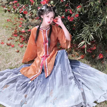 Fengtai Qu (Gėlių šiek tiek Lietaus) Ming Dinastijos spausdinti apvalios kaklo marškinėliai su klostuotas sijonas kasdien moterys pavasarį ir vasarą