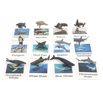 Gyvūnų Modeliai Atitikimo Kortelės Gyvūnų Nuotraukos Atminties Kortelėje Jūrų Gyvūnų Atitikimo Kortelės Montessori Kalbos Mokymosi Medžiagos