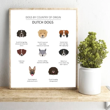 Olandų Šunų Veislių Švietimo Plakatas 