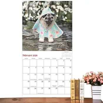 Pug Kalendorius 2024 M 12 X 12Inch Gyvūnų Kalendorius Su Mielas Pug Vaizdai Mielas Pug Vaizdų, Gyvūnų Kalendorius Šeimos Planavimo & Kasdien Organizacija