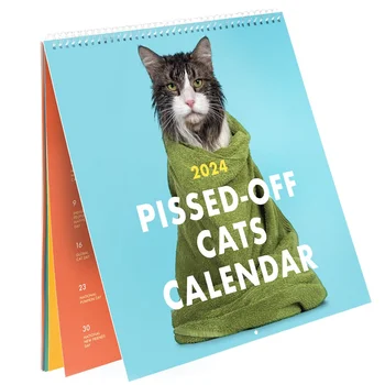 Susierzinusi Kačių Kalendoriaus 2024 Funny Cat Sieninis Kalendorius, Kūrybos Kalendorius, Katė Kabo Kalendorius, 12 Mėnesių Katė